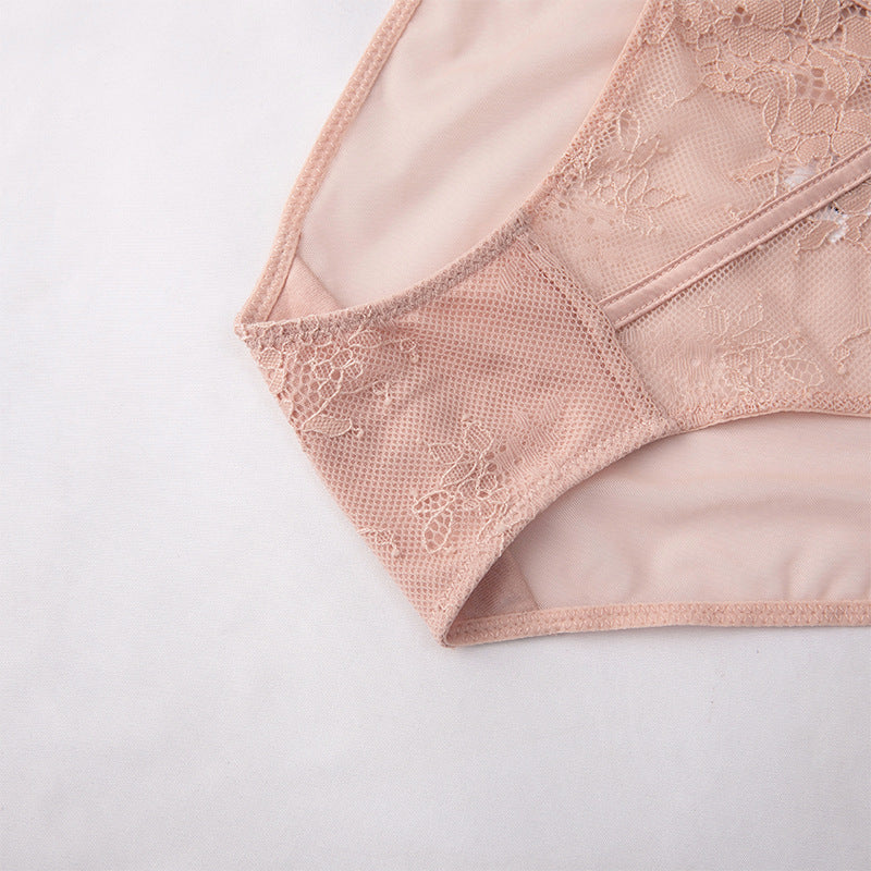 Pink lace embroidery mesh panty back view showing lace panel and sheer fabric - Seriva Lingerie